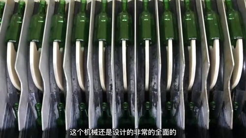 工廠生產(chǎn) 酒瓶 包裝全過程,全自動(dòng)機(jī)械日產(chǎn)100萬瓶,漲知識了